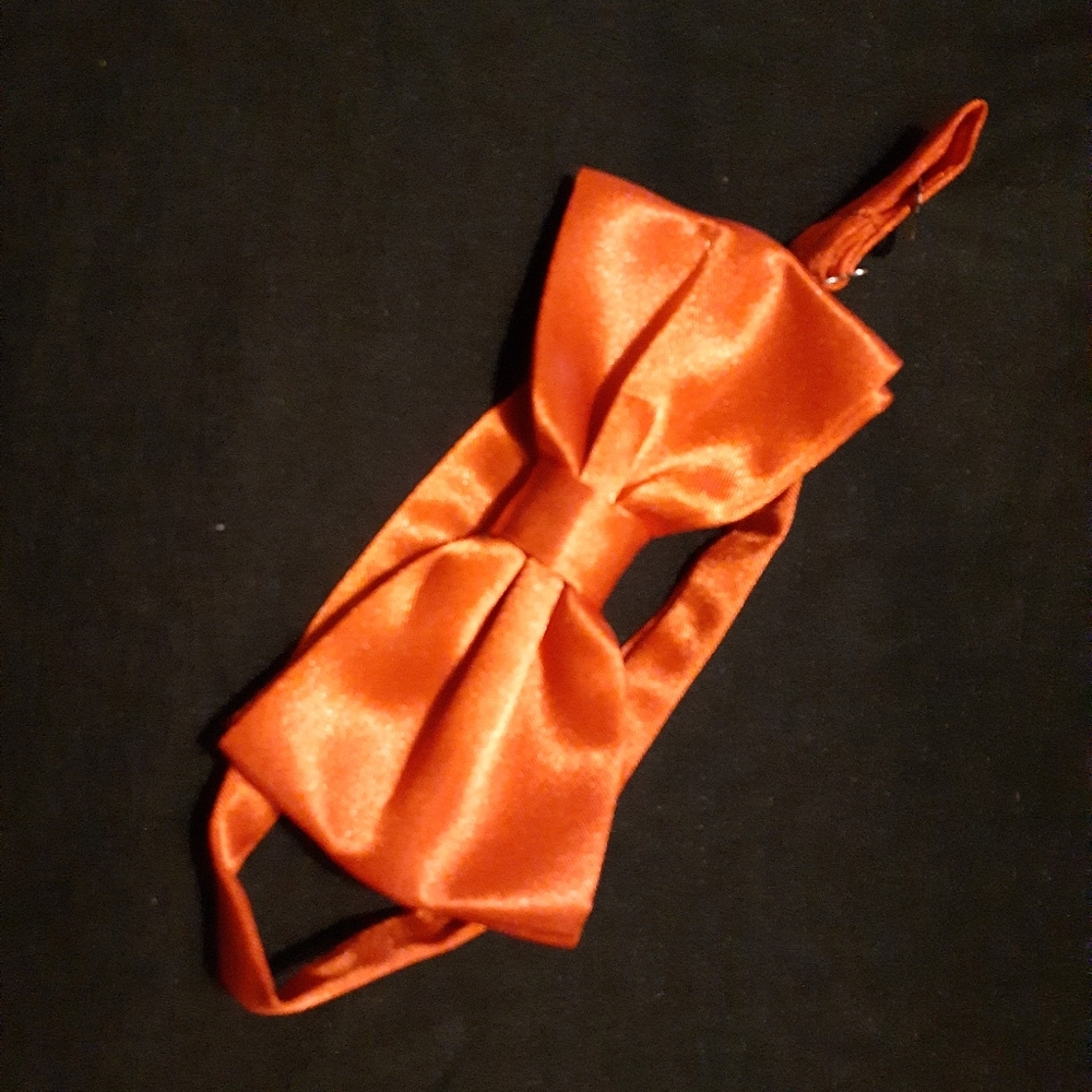 Kids Bow Tie